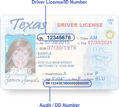 Texas Drivers License Number Generator bynew