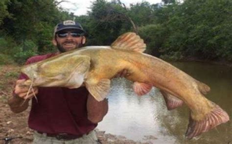 Texas Parks and Wildfire to stock lakes across Texas with catfish