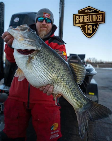 Texas ShareLunker Program works to shape future of big bass