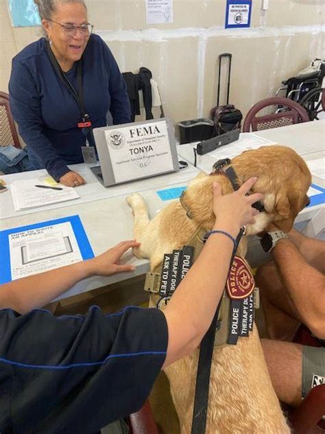 Texas State emotional support dog helps fire victims, first responders in Maui