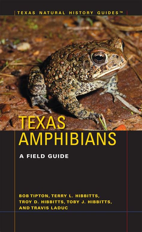 Texas amphibians a field guide terry l hibbitts. - Museum für die sächsische geschichte, litteratur und staatskunde.