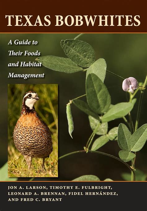 Texas bobwhites a guide to their foods and habitat management timothy e fulbright. - Kayak fishing the ultimate guide 2nd second edition text only.