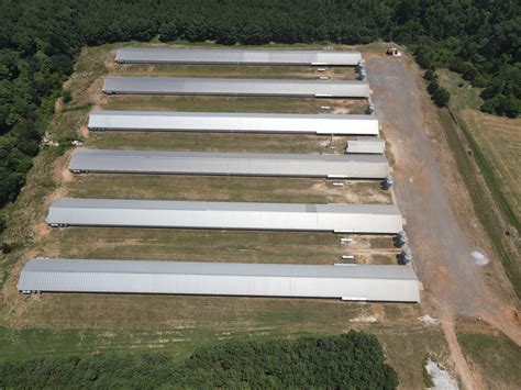 Texas chicken farm for sale. Things To Know About Texas chicken farm for sale. 