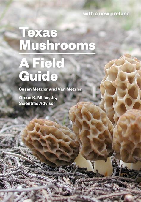 Texas mushrooms a field guide corrie herring hooks series. - Practical guide for policy analysis bardach.