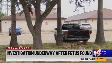 Texas plumber finds fetus in apartment pipe while fixing clog: reports