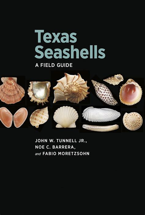 Texas seashells a field guide harte research institute for gulf. - Histoire du chevalier des grieux et de manon lescaut.