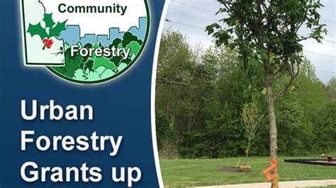 Texas to receive $21M in federal funding for urban forestry initiatives