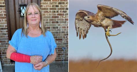 Texas woman attacked by snake that fell from the sky, then a hawk hunting it