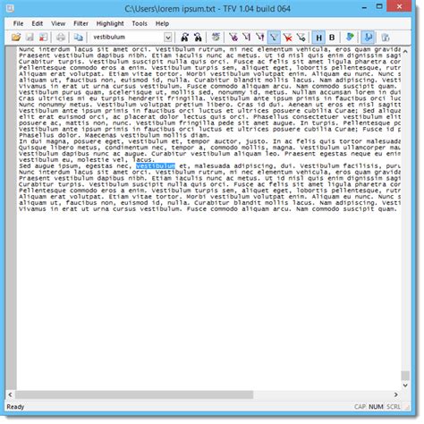 Text File Viewer for Windows