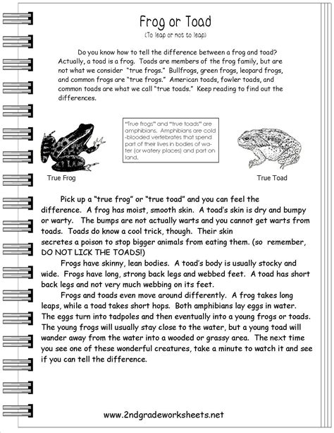 Text Features Reading Passages 5th Grade