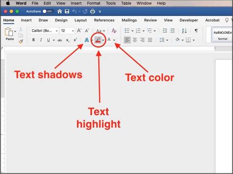 Text is highlighted in word snourl