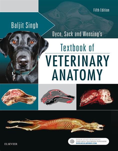 Textbook of Veterinary Anatomy