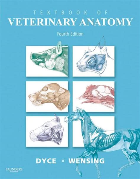 Textbook of veterinary anatomy 4e edition 4 by dyce dvm. - Wholesale drug distributor policies and procedures manual.