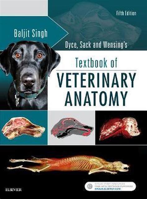 Textbook of veterinary anatomy by dyce sack and wensing 3rd edition. - Umfassender leitfaden zum saxophonrepertoire comprehensive guide to saxophone repertoire.
