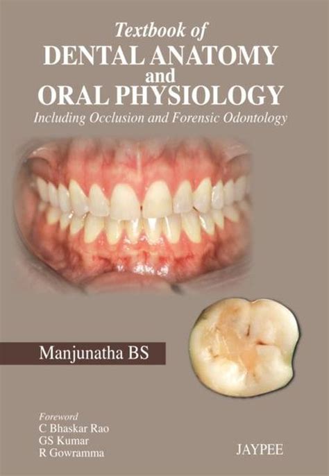 Full Download Textbook Of Dental Anatomy And Oral Physiology Uk By Bs Manjunath