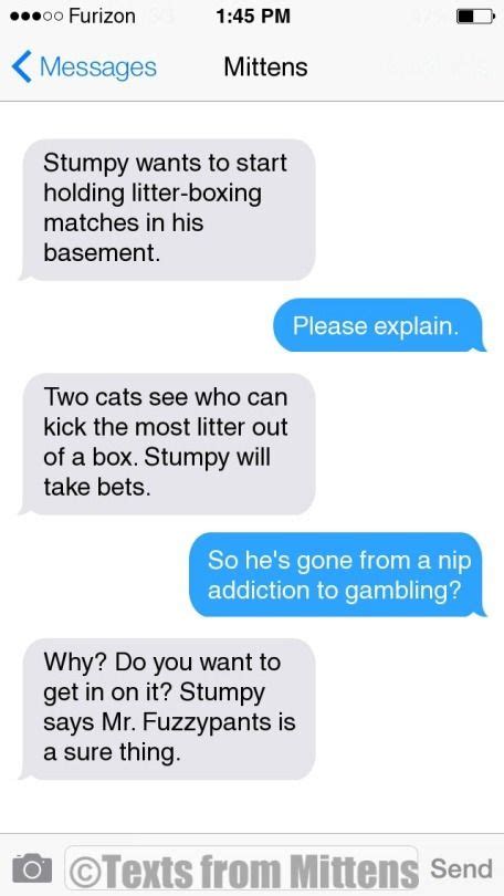 Texts from Mittens NEW Daily Mittens The LitterBoxing Edition More...