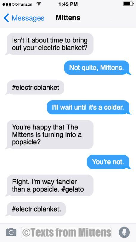 Texts from Mittens NEW Daily Mittens The Staring Edition More...