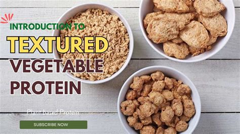 Textured Vegetable Protein How It Is Made and Used
