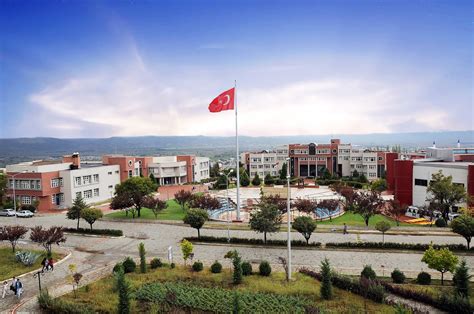Tez Aydın Adnan Menderes University.