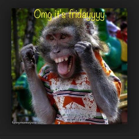 Tgif funny. Browse 1,381 authentic tgif stock photos, high-res images, and pictures, or explore additional tgif funny or tgif logo stock images to find the right photo at the right size and resolution for your project. weekend headline tgif - tgif stock pictures, royalty-free photos & … 