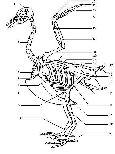 Thésaurus:érosion/français — Wiktionnaire