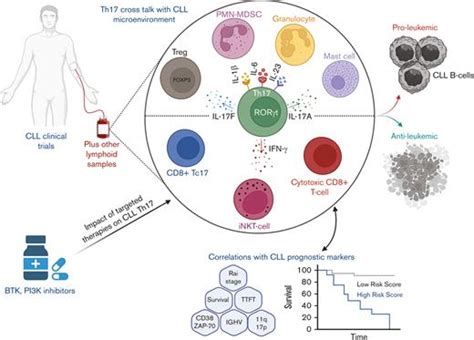 Th17 and cancer: friends or foes? Blood - American Society of …