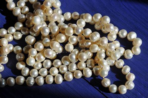 Thai pearl. Things To Know About Thai pearl. 