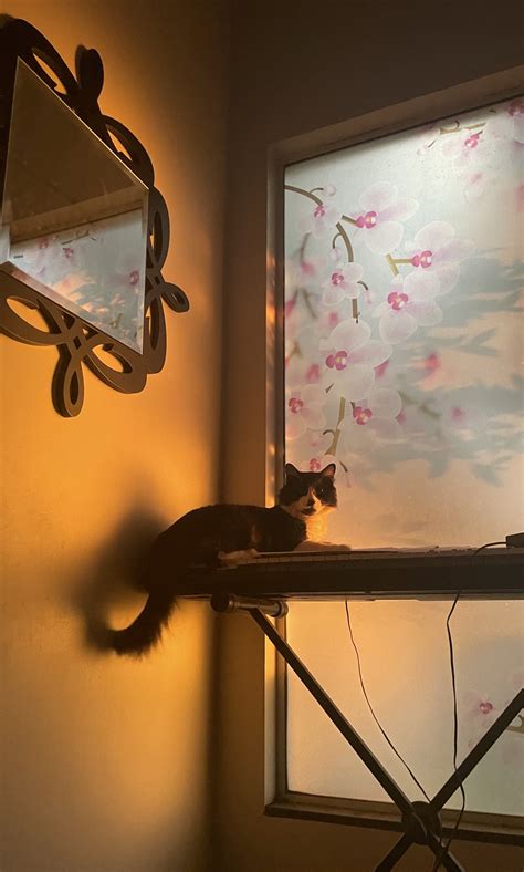 Thaixkronbauer Onlyfans Leaked [CLIP] 🔥 179 Videos