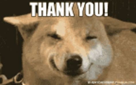 Thank you gif dog. Download Cute Thank You Animated Dog GIF for free. 10000+ high-quality GIFs and other animated GIFs for Free on GifDB. 