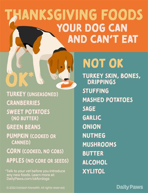 Thanksgiving foods your dog can eat and which ones to avoid