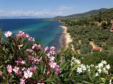 Thassos: Griechenlands grünste Insel - ab in den urlaub,