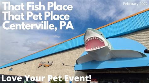 That pet place centerville pa. Things To Know About That pet place centerville pa. 