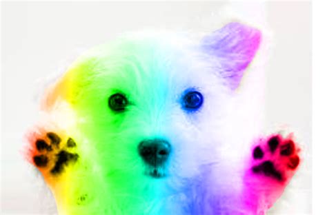 That said Enjoy rainbows and puppies!!Subscribe Today! http://www.