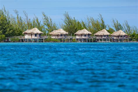 Thatch caye resort. Thatch Caye Resort a Muy'Ono Resort. North Road, 00000 Hopkins, Belize – Excellent location - show map. 9.4. Superb. 31 reviews. We loved the location, the views from the … 