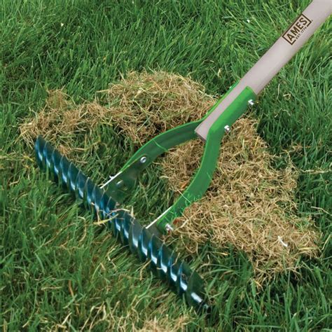 Thatch rake harbor freight. BARAYSTUS Thatch Rake, 15-Inch Wide Lawn Thatching Rake for Cleaning Dead Grass, Efficient Steel Metal Lawn Grass Rake with Stainless Steel Handle, Lawn loosening Soil Rake, 58.5-Inch Length. 4.8 out of 5 stars 32 