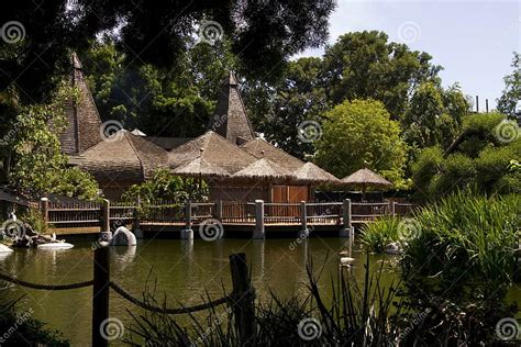 Thatched Roof Building in the Jungle Wilderness Stock Image Image of