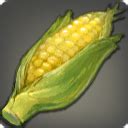 Where to Find Thavnairian Corn in FFXIV - Crafting Material Guide. Here's where and when to find Thavnairian Corn in FFXIV! Add it to your growing list of vegetables needed to craft new Patch 6.1 items.. 