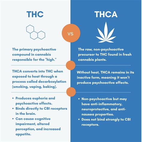 Thcb reddit.  Nov 4, 2024 · Understanding the differences between THCa and THC...
