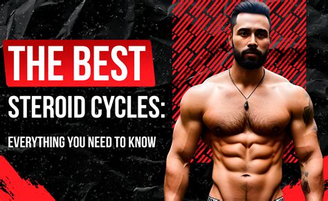 th?q=The Best Steroid Cycles: Everything You Need to Know