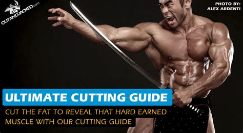 th?q=The Ultimate Cutting Workout & Diet Plan - SET FOR SET