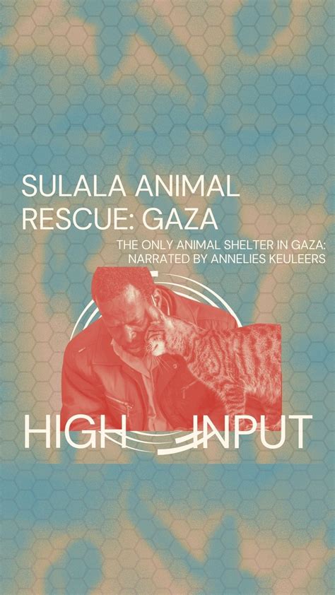 The "Burmese Flights" Project: Protecting Animals While Strangling Gaza