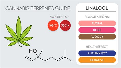 The “Tired Terpene” — A Beginner’s Guide To Linalool