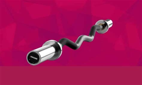 The 10 Best Curl Bars to Buy (2024) - Jacked Gorilla