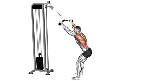 The 10 Best Exercises to Build Bigger and Stronger Lats