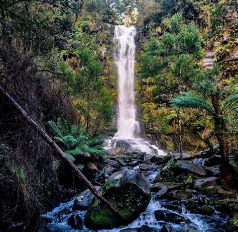 The 10 Best Great Ocean Road Waterfalls