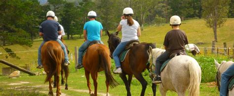 The 10 Best Horseback Riding Lessons in Apex, NC 2024