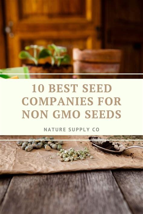 The 10 Best Seed Companies for Heirloom and Non-GMO Seeds