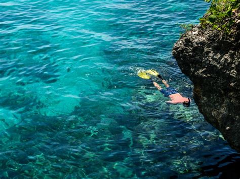 The 12 Best Snorkeling Spots in Jamaica - Evitas Jamaica