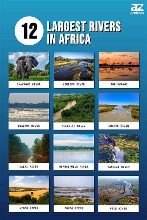 The 12 Largest Rivers in Africa - AZ Animals