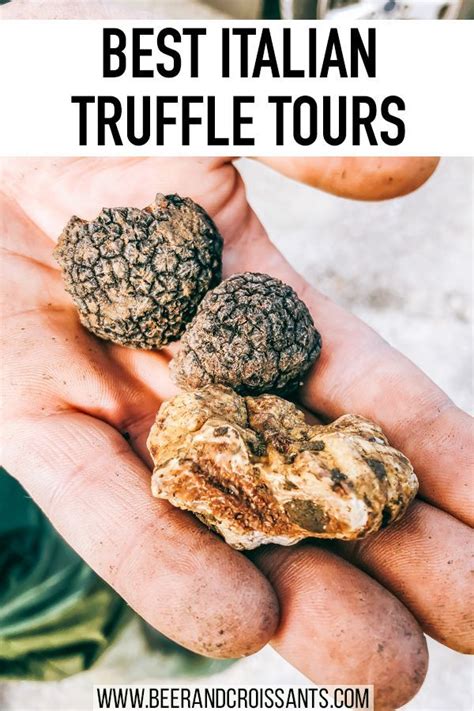 The 15 Best Places for Truffles in Milan - Foursquare